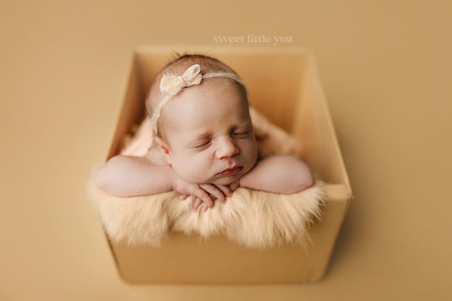 Enhancing Your Newborn Photography: The Power of Props in Increasing Gallery Variety